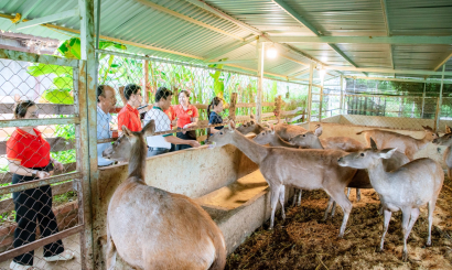 Trải nghiệm độc đáo tại Nai Farm