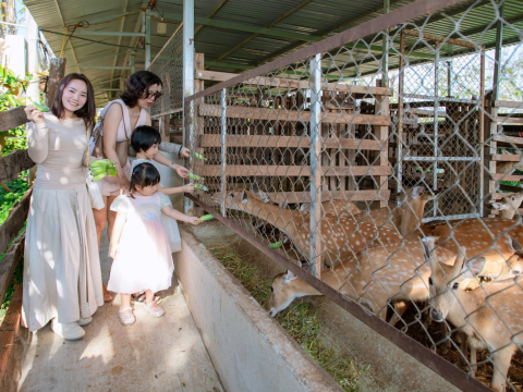 Album khách tham quan trang trại Nai Farm
