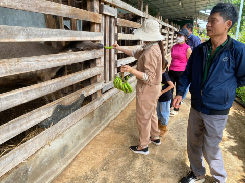 Album khách tham quan trang trại Nai Farm