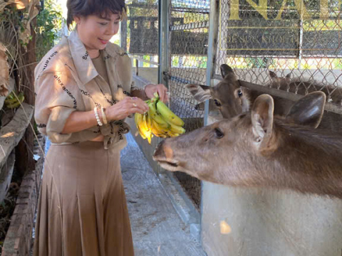 Album khách tham quan trang trại Nai Farm