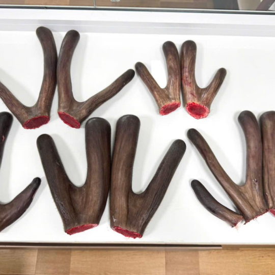 NHUNG NAI CẮT LÁT SẤY KHÔ