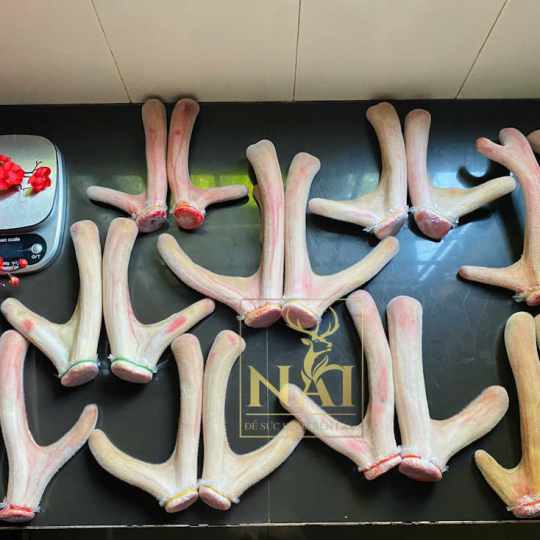 RƯỢU NHUNG HƯƠU