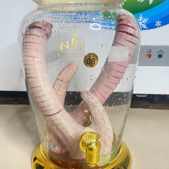 RƯỢU NHUNG HƯƠU