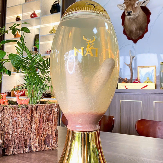 RƯỢU NHUNG HƯƠU NGUYÊN BẢN 