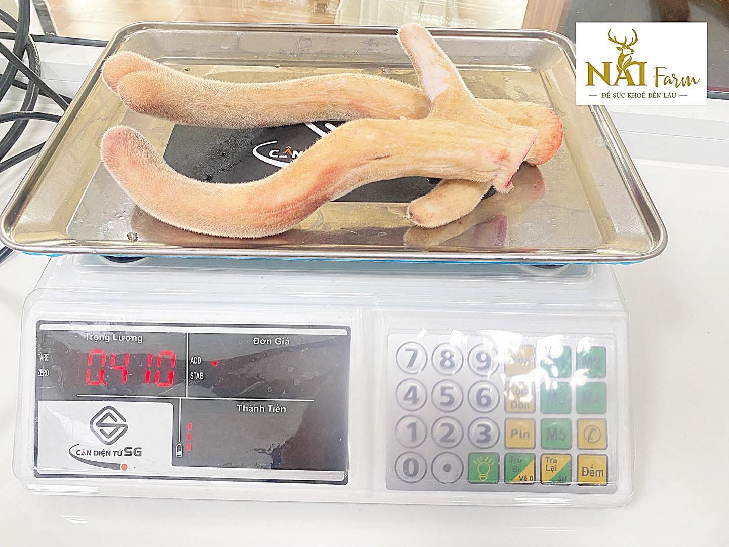 nhung hươu Nai Farm